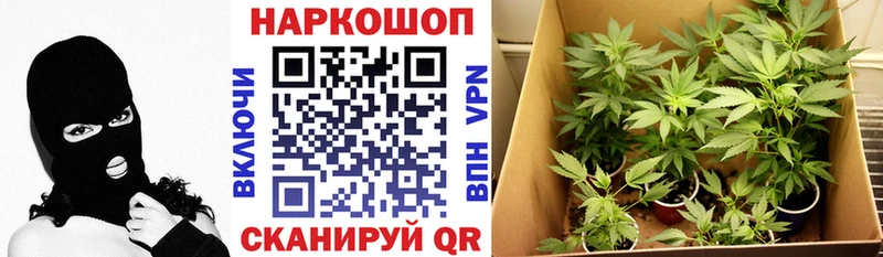Виды наркоты Михайлов Кокаин  Меф  АМФ  Конопля  Гашиш 