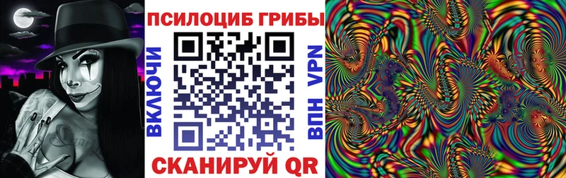 Псилоцибиновые грибы GOLDEN TEACHER  OMG маркетплейс  Михайлов 